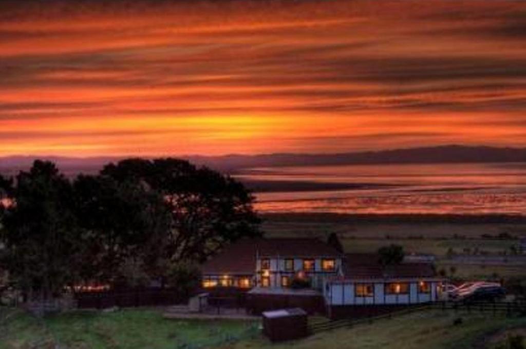 Chartre Manor B&B Thames Eksteriør billede